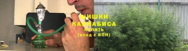 дживик Лагань