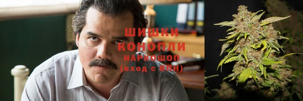 дживик Лагань