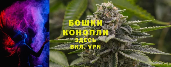 дживик Лагань