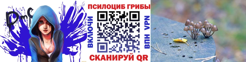 Галлюциногенные грибы Psilocybine cubensis  Купить  Таштагол 